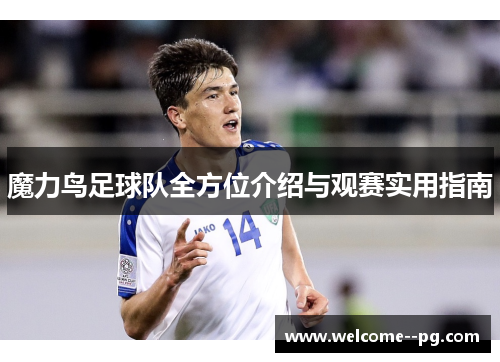 魔力鸟足球队全方位介绍与观赛实用指南